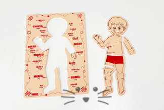 Encastre del Cuerpo Humano