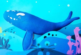 Ballena Franca Austral Bebé