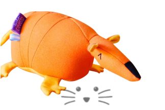 Tatu Carreta Naranja
