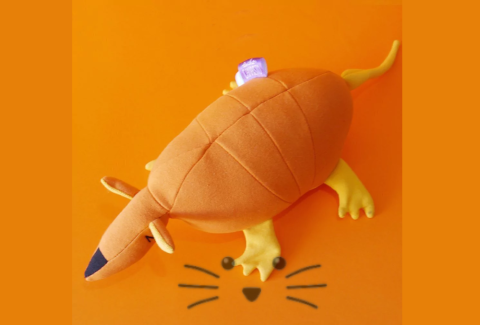 Tatu Carreta Naranja