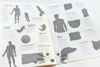 Aprendo Con Stickers: Cuerpo Humano