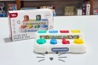 Pop Up Caja de Animalitos Sorpresa