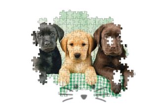 Labradores. Rompecabezas de 1000 piezas