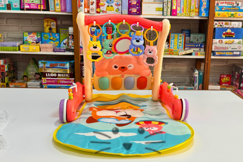 Caminador y Gimnasio - 2 en 1