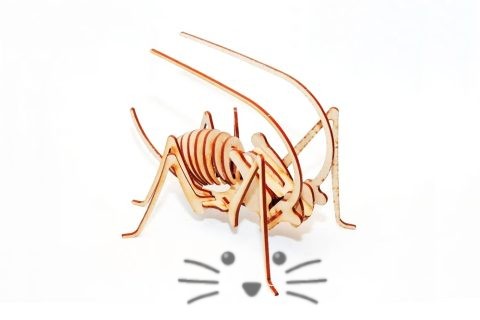 Puzzle 3D. Grillo para armar