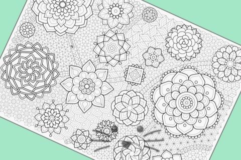 Lonita para Pintar y Lavar. Mandalas