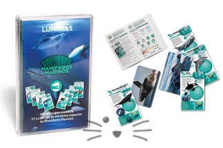 Luminias Mamíferos Marinos