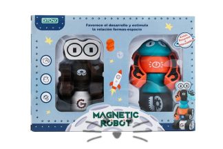 Magnetic Robot