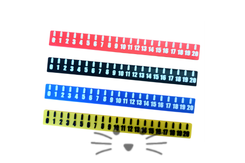 Regla Adaptada de 20 cm