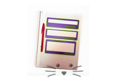 Reglas Contenedoras de Escritura (Set x3)