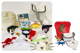 Set de Paleontología