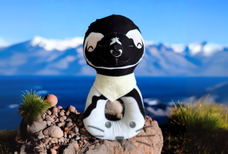 Sonajero Pingüino de Magallanes