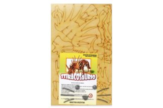Puzzle 3D. Stiracosaurio para armar