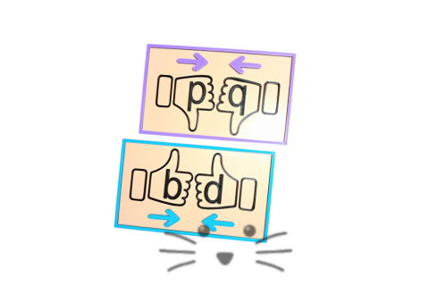 Tabla de Discriminación Visual B-D / P-Q